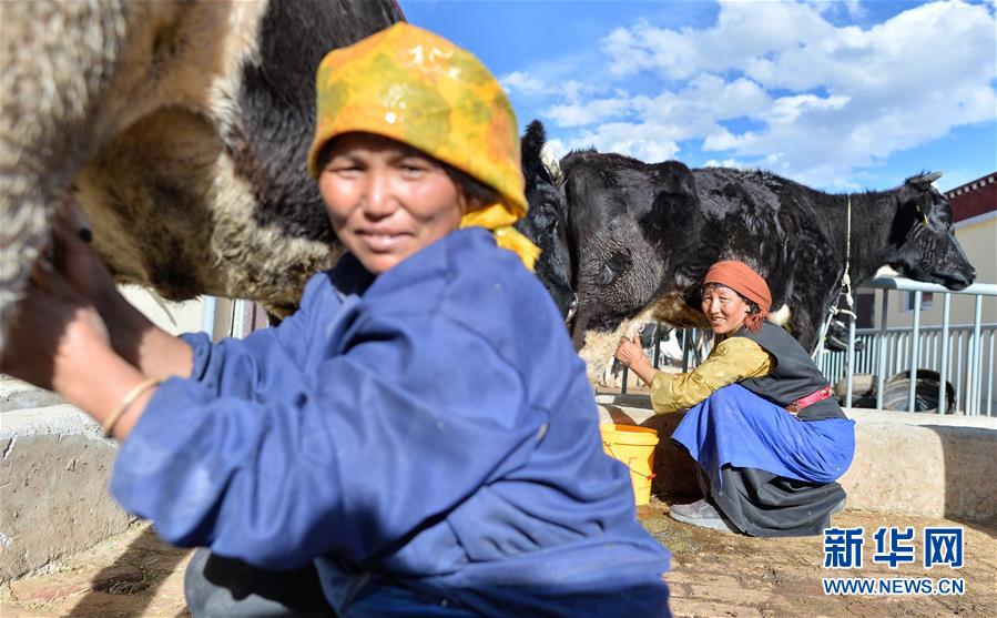 （新華全媒頭條·決戰(zhàn)決勝脫貧攻堅·圖文互動）（3）歷史的決戰(zhàn)　偉大的創(chuàng)舉——“世界屋脊”上的反貧困奇跡 