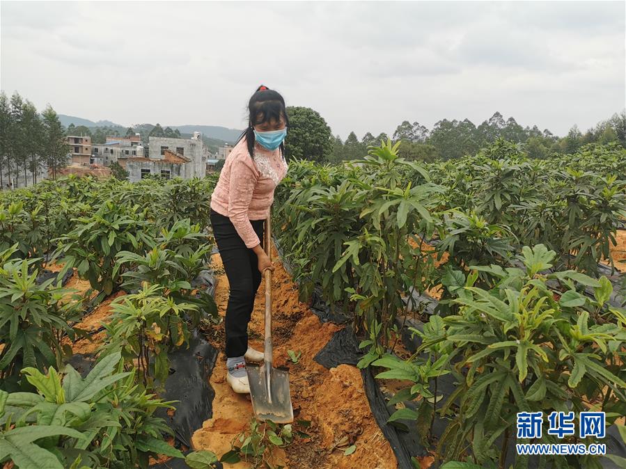 （圖文互動）（4）與疫情抗爭 與春光同行——廣西農(nóng)村春耕備耕一線觀察