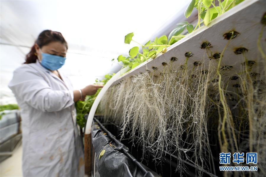 （新華全媒頭條·圖文互動）（1）春色最濃在田間——來自全國春耕備耕的現(xiàn)場觀察