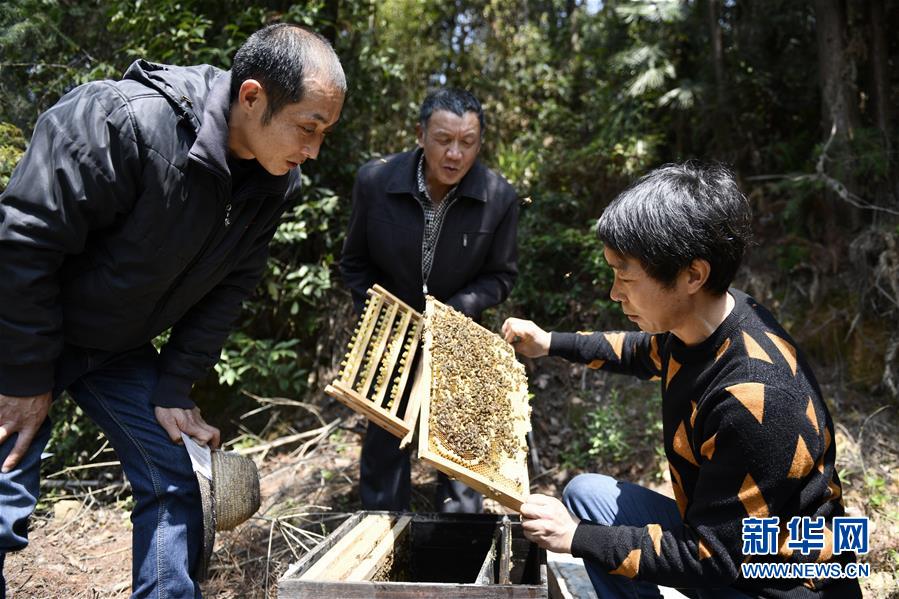 （決戰(zhàn)決勝脫貧攻堅·圖文互動）（5）一位農民的產業(yè)扶貧成績單 