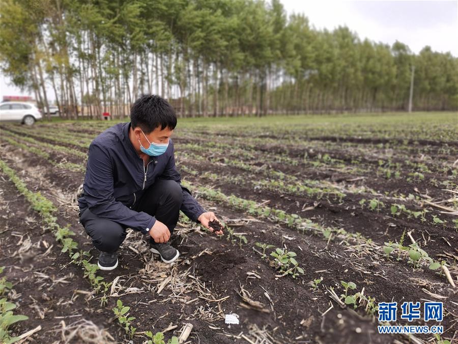 （在習(xí)近平新時代中國特色社會主義思想指引下——新時代新作為新篇章·習(xí)近平總書記關(guān)切事·圖文互動）（6）讓每一寸耕地都成為豐收的沃土——我國加強(qiáng)耕地保護(hù)推進(jìn)“藏糧于地”