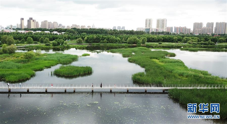 （走向我們的小康生活·圖文互動(dòng)）（1）水清、地綠、空氣新——最北省份黑龍江繪就生態(tài)治理新畫卷