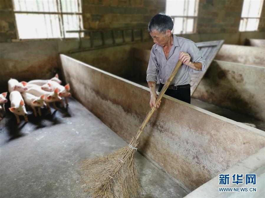 （走向我們的小康生活·圖文互動(dòng)）（2）長(zhǎng)沙：以“繡花功”精準(zhǔn)攻破“插花貧”