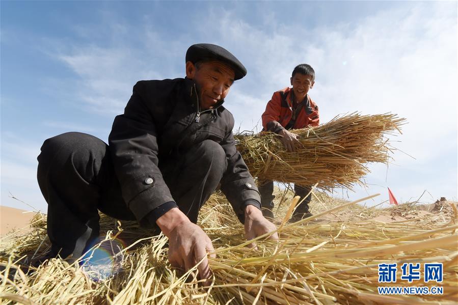 （在習(xí)近平新時(shí)代中國特色社會(huì)主義思想指引下——新時(shí)代新作為新篇章·習(xí)近平總書記關(guān)切事·圖文互動(dòng)）（5）綠色映底蘊(yùn)，山水見初心——生態(tài)優(yōu)先、綠色發(fā)展持續(xù)造福群眾美好生活