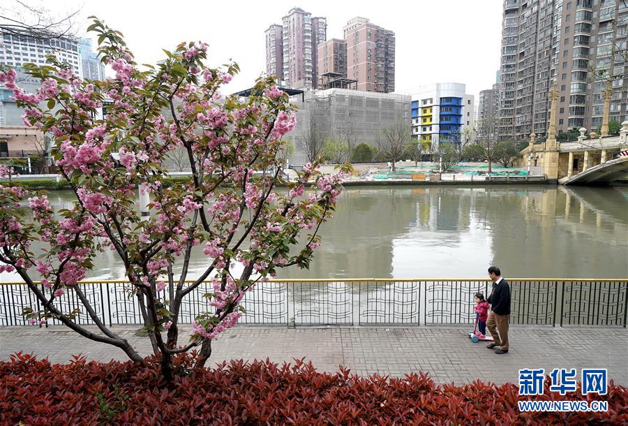 （新華全媒頭條·走向我們的小康生活·圖文互動(dòng)）（12）城市，讓人民生活更美好