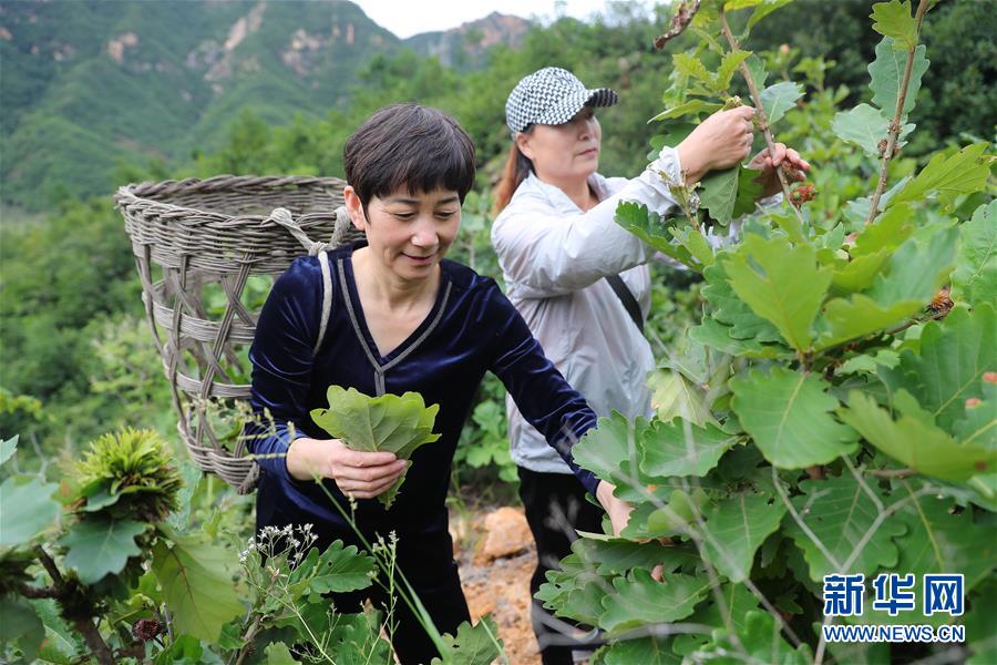 （新華全媒頭條·走向我們的小康生活·圖文互動）（7）長城腳下，小康村串成“珍珠鏈”