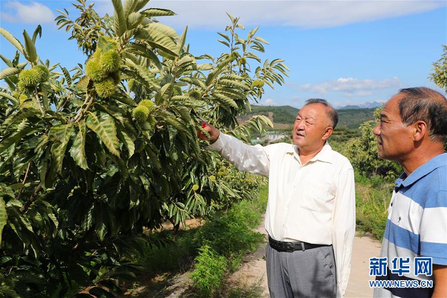 （新華全媒頭條·走向我們的小康生活·圖文互動）（11）長城腳下，小康村串成“珍珠鏈”