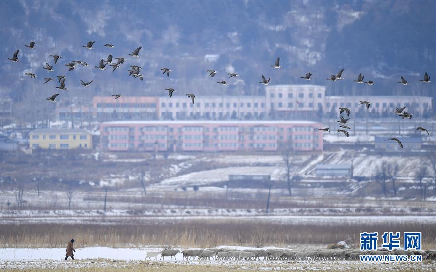 （新華全媒頭條·走向我們的小康生活·圖文互動）（14）黑土地上是我家——在吉林，一瞥中國東北鄉(xiāng)村美麗未來