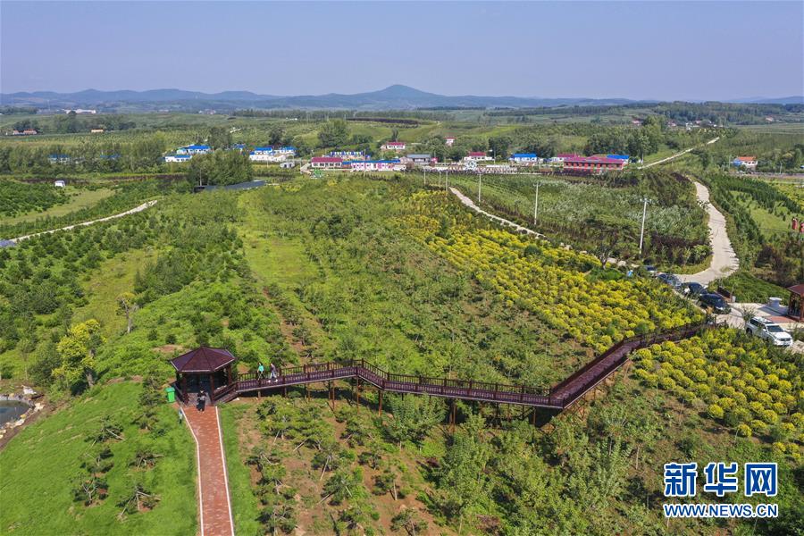 （新華全媒頭條·走向我們的小康生活·圖文互動）（16）黑土地上是我家——在吉林，一瞥中國東北鄉(xiāng)村美麗未來