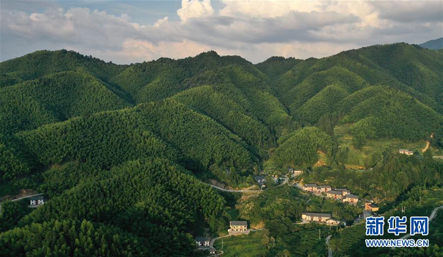 （新華全媒頭條·走向我們的小康生活·圖文互動(dòng)）（2）神山村“神奇”何在？——井岡山深處覓答案