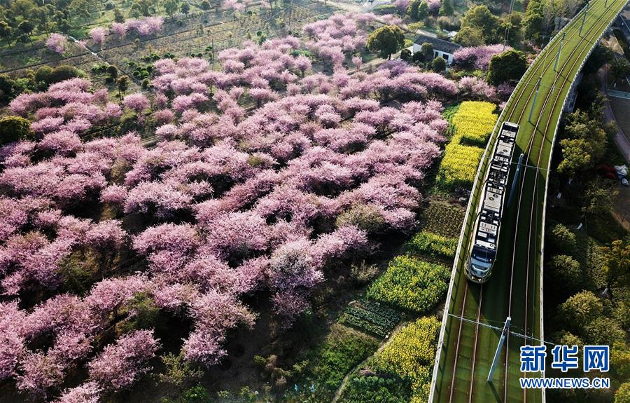 （新華全媒頭條·圖文互動）（4）偉大旗幟引領歷史巨變——習近平新時代中國特色社會主義思想指引“十三五”經(jīng)濟社會發(fā)展述評