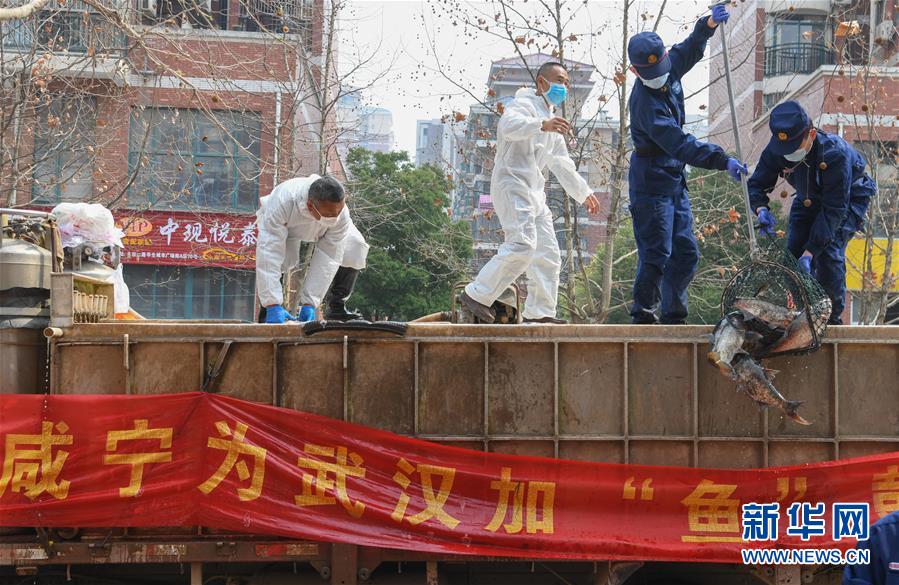 （新華全媒頭條·圖文互動）（12）從人民中汲取磅礴力量——習(xí)近平總書記同出席2020年全國兩會人大代表、政協(xié)委員共商國是紀(jì)實(shí)