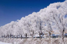 全國初雪時間表出爐 看看你離初雪還有多遠(yuǎn)？