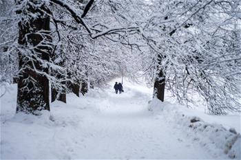 雪中莊園