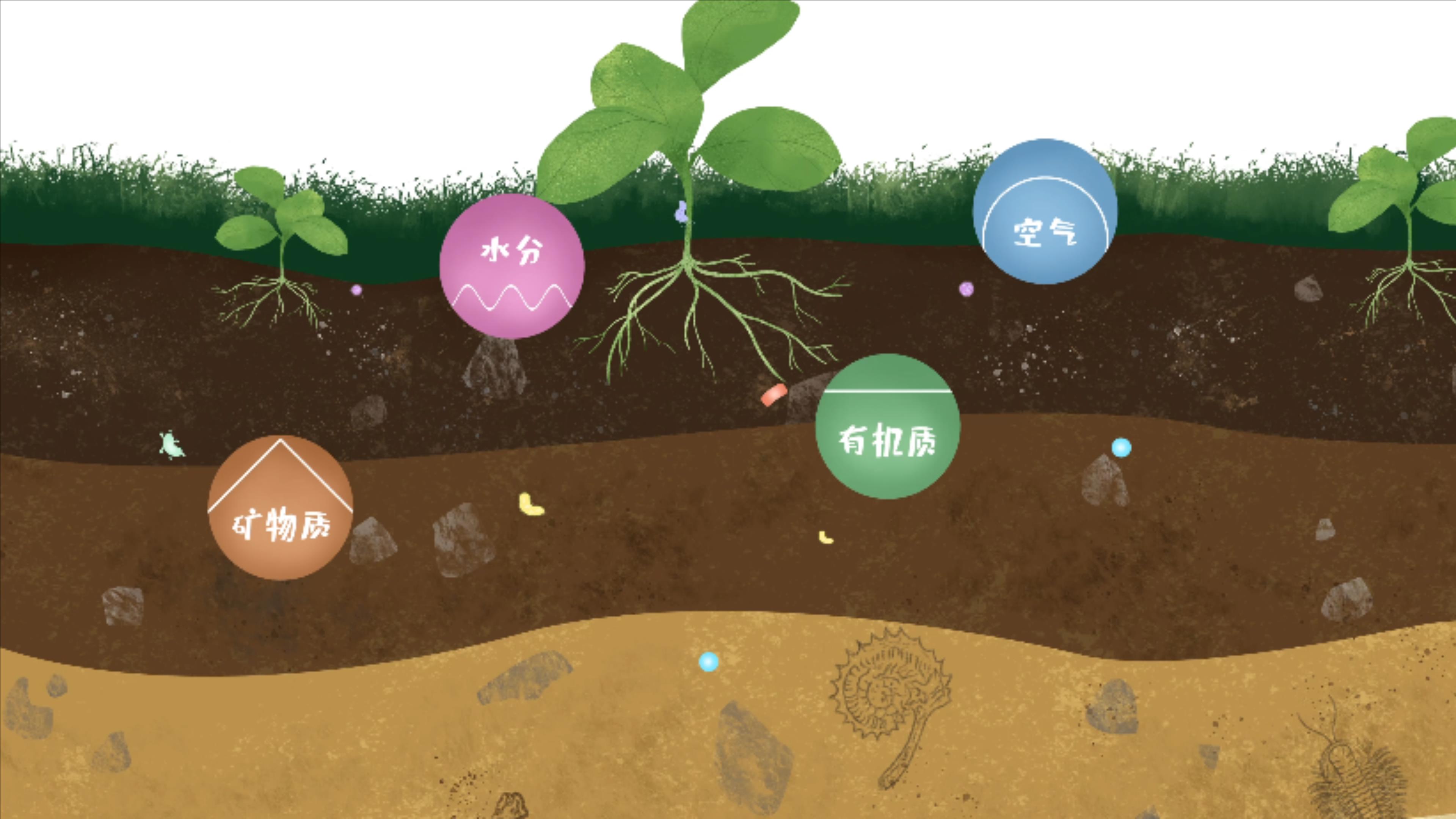 土壤由礦物質、有機質、水分、空氣及包括微生物在內的生物體等組成