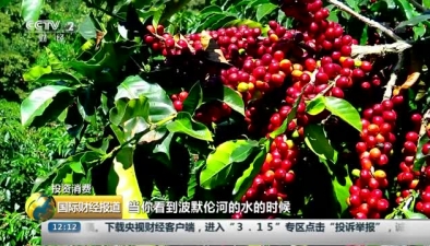 圭亞那咖啡：美洲最古老咖啡